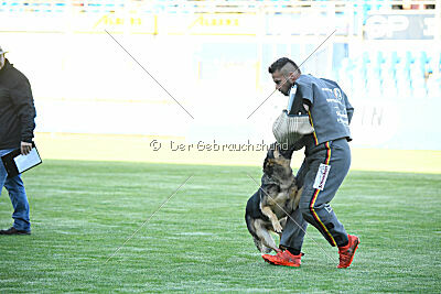 Yumbone`s Breakingbad